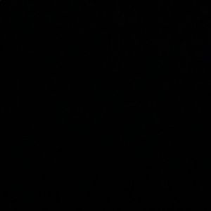 Meet your Posher, Robby